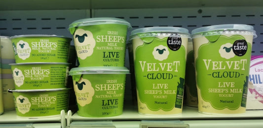 Why So Many Small Irish Food Business Fail
