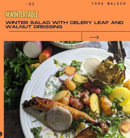 Roasted Winter Vegetables, Pickle Yellow Carrott, Celery Leaf, Walnut and Rockfield Sheep’s Cheese Dressing, served on Velvet Cloud Yogurt