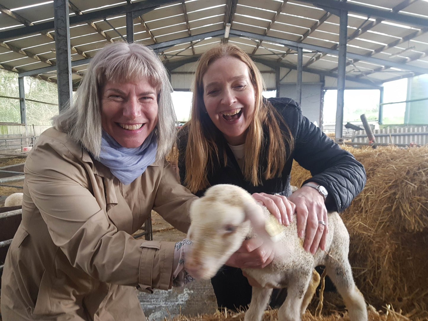 Luxury Farm Tours