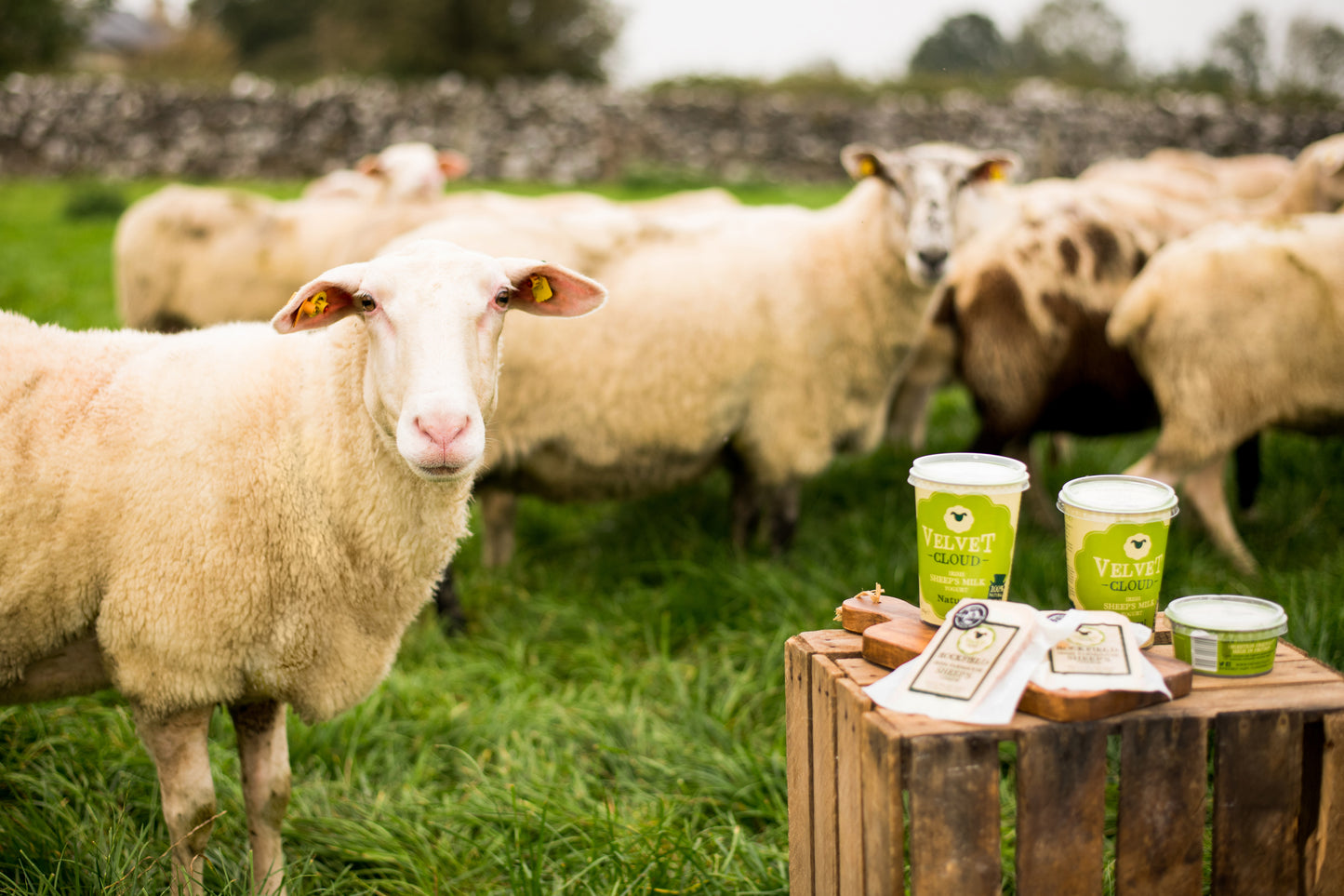 Luxury Farm Tours