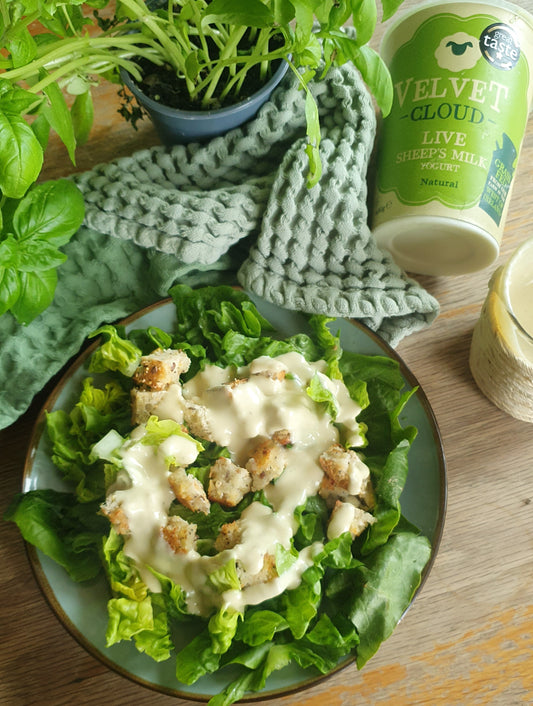 The Best Salad Dressing You Will Ever Taste