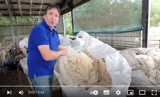 Michael explains how wool is now worthless
