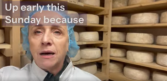 Greetings from inside the cheese maturing room