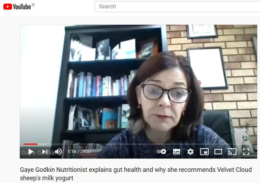 Interview With Gaye Godkin Consultant Nutritionist - Speaking About Gut Health & Why She Recommends Velvet Cloud Sheep's Milk Yogurt