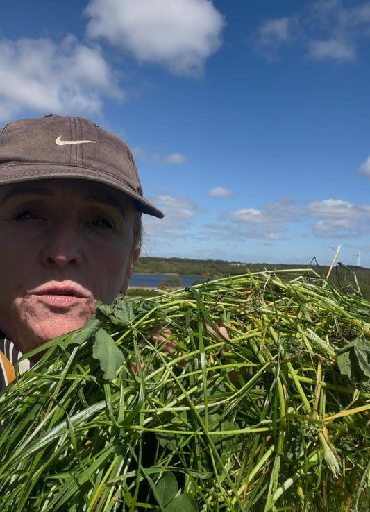 Silage Cut At Last - How We Make It