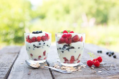 Berry Sheep’s Yogurt Dessert